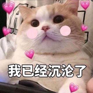少女心爆棚 | 超甜韩语歌|脸红的思春期