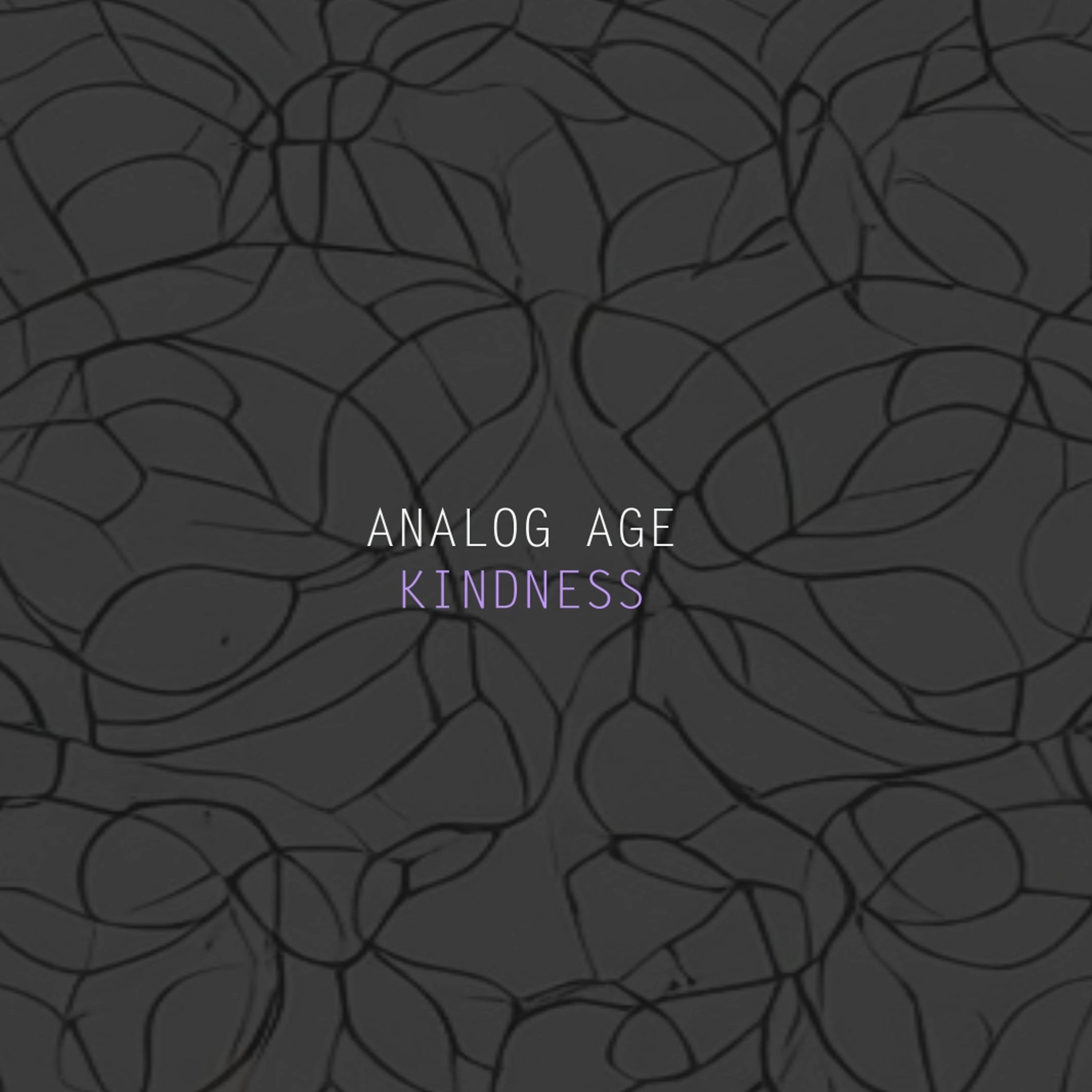 Analog Age - Kindness (Radio edit)