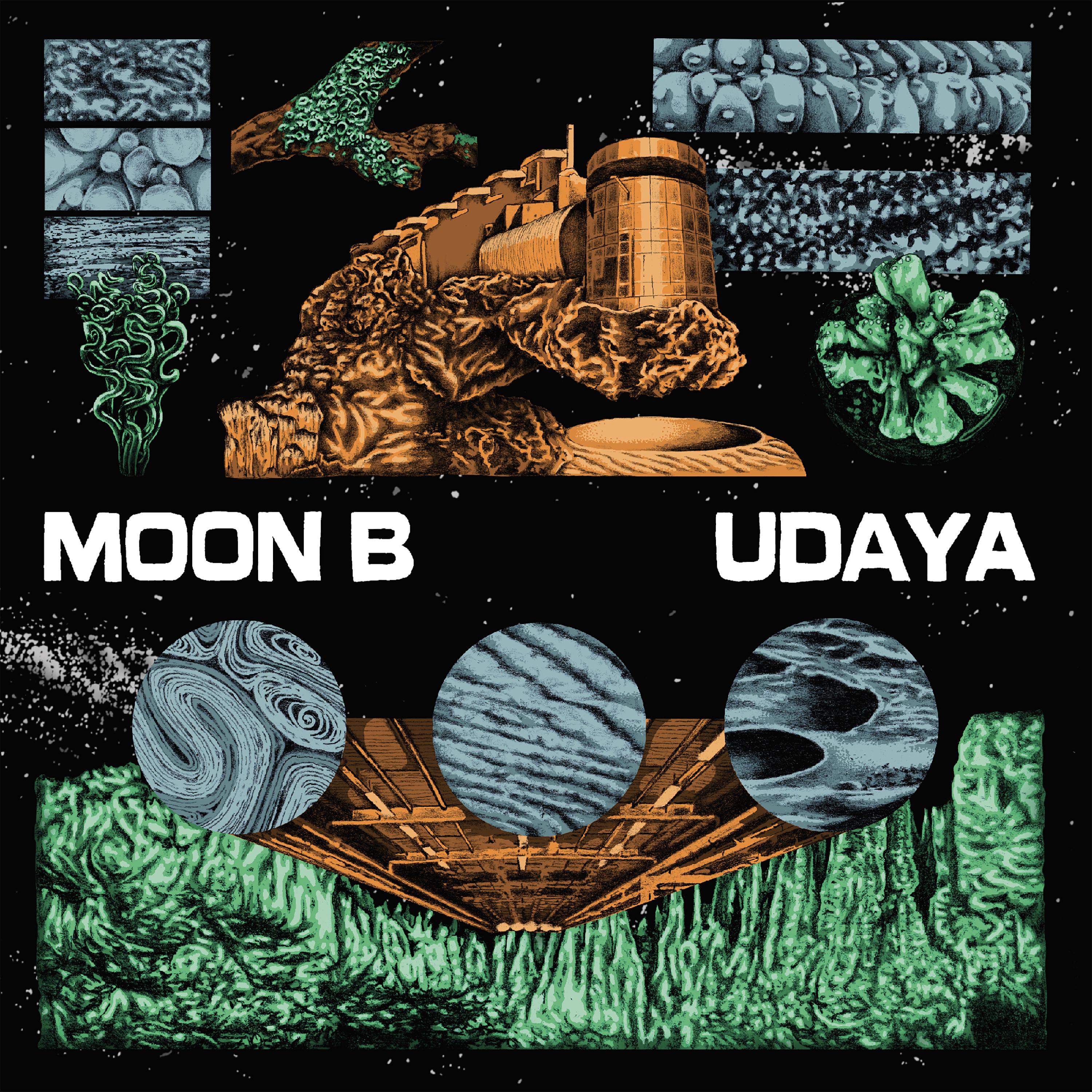 Udaya