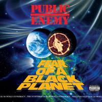 原版伴奏   Public Enemy - Welcome To The Terrordome (instrumental)无和声