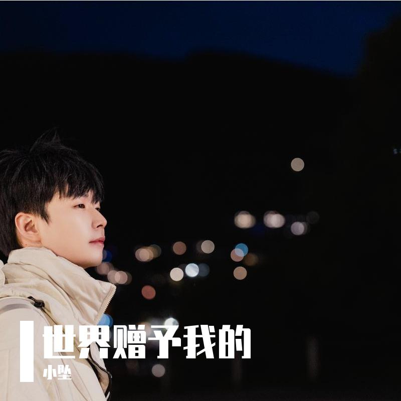 世界赠予我的