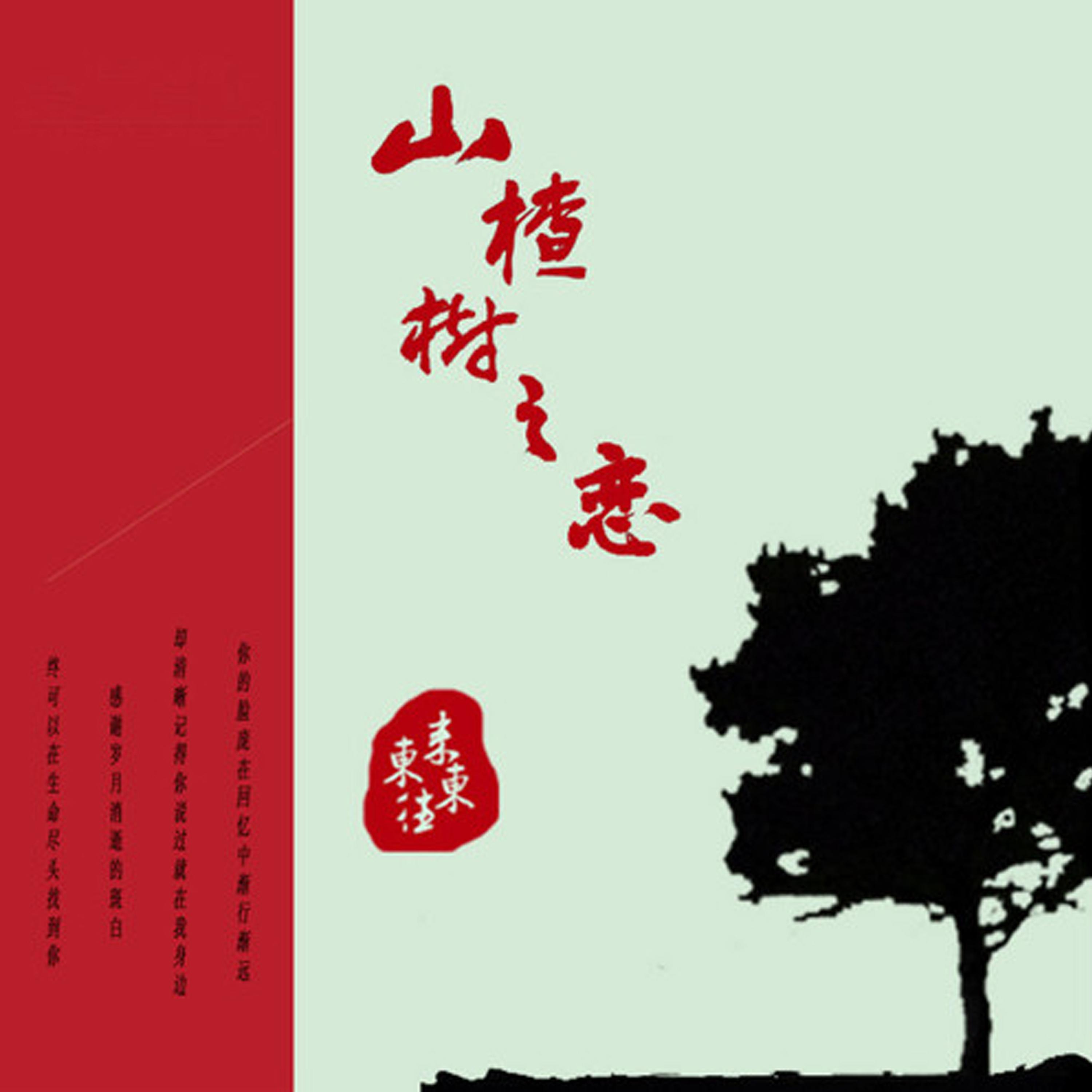 山楂树之恋