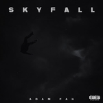 SKYFALL专辑