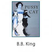 Pussy Cat