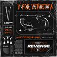 REVENGE: V