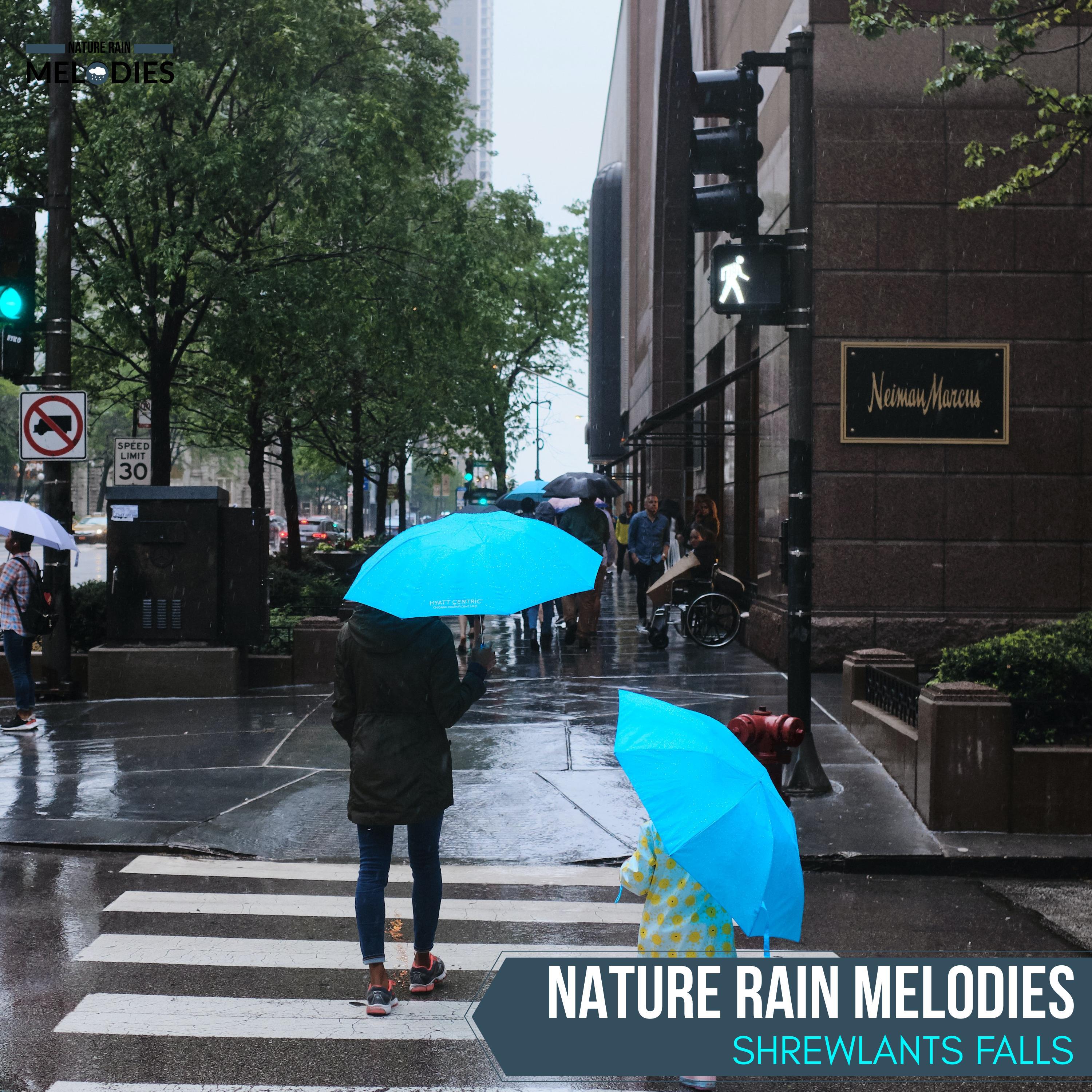 Rain Roots Nature Music - Delicate Rain Aftermath
