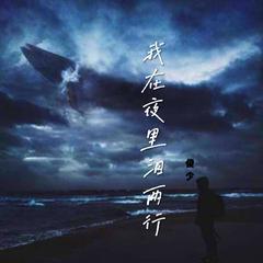 我在夜里泪两行