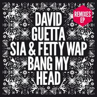 Bang My Head - David Guetta ft. Sia & Fetty Wap (PT karaoke) 带和声伴奏