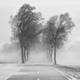Winter (Free beat)