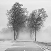 Winter (Free beat)