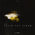 After the Storm - EP