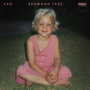 Redwood Tree (KV Instrumental) （原版立体声无和声）