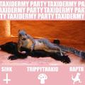 Taxidermy Party