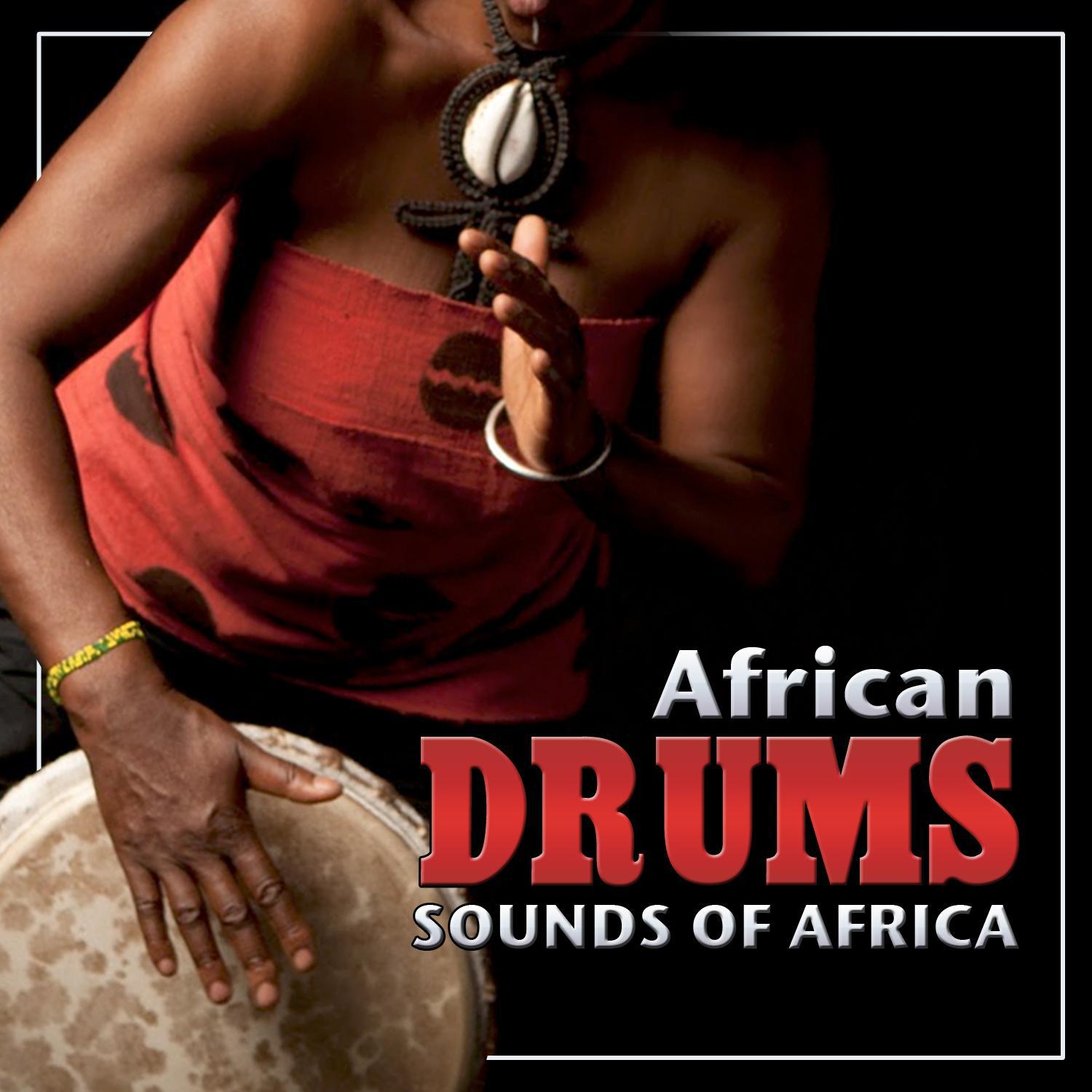 Songs from Africa. African Typical Music专辑