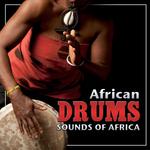 Songs from Africa. African Typical Music专辑