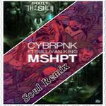 Smack Up vs MSHPT vs Russian Roulette(Soul Mashup)专辑