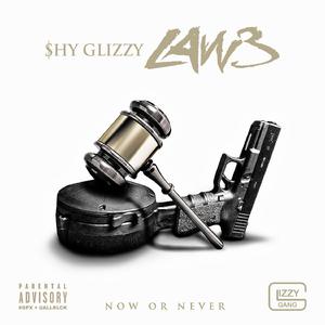 Shy Glizzy - What To Do (Instrumental) 无和声伴奏 （降2半音）