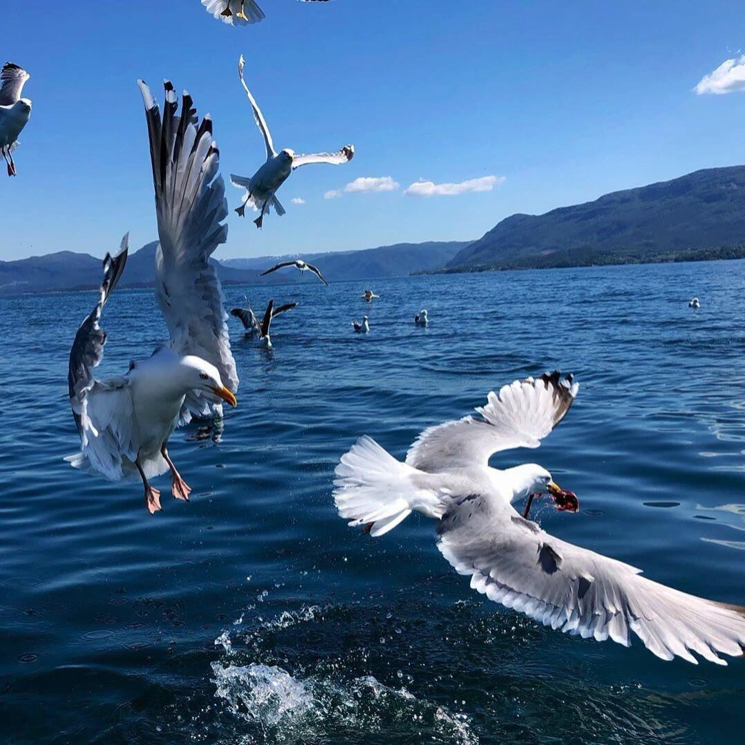 Olly Murs-That Girl（A·K·KS remix）