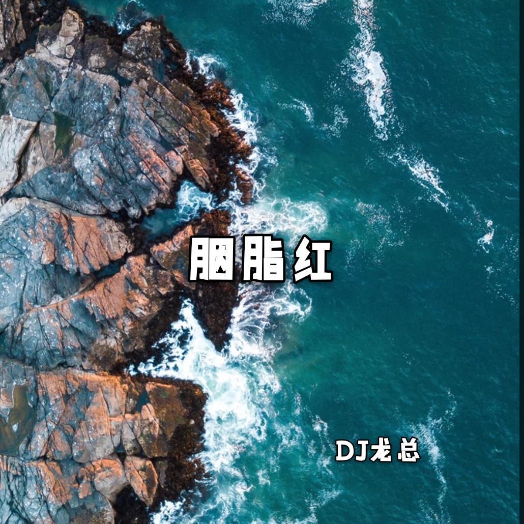 DJ龙总《最咸那条鱼(DJ版)》