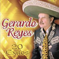 Gerardo Reyes - Se Volteo La Moneda (karaoke)