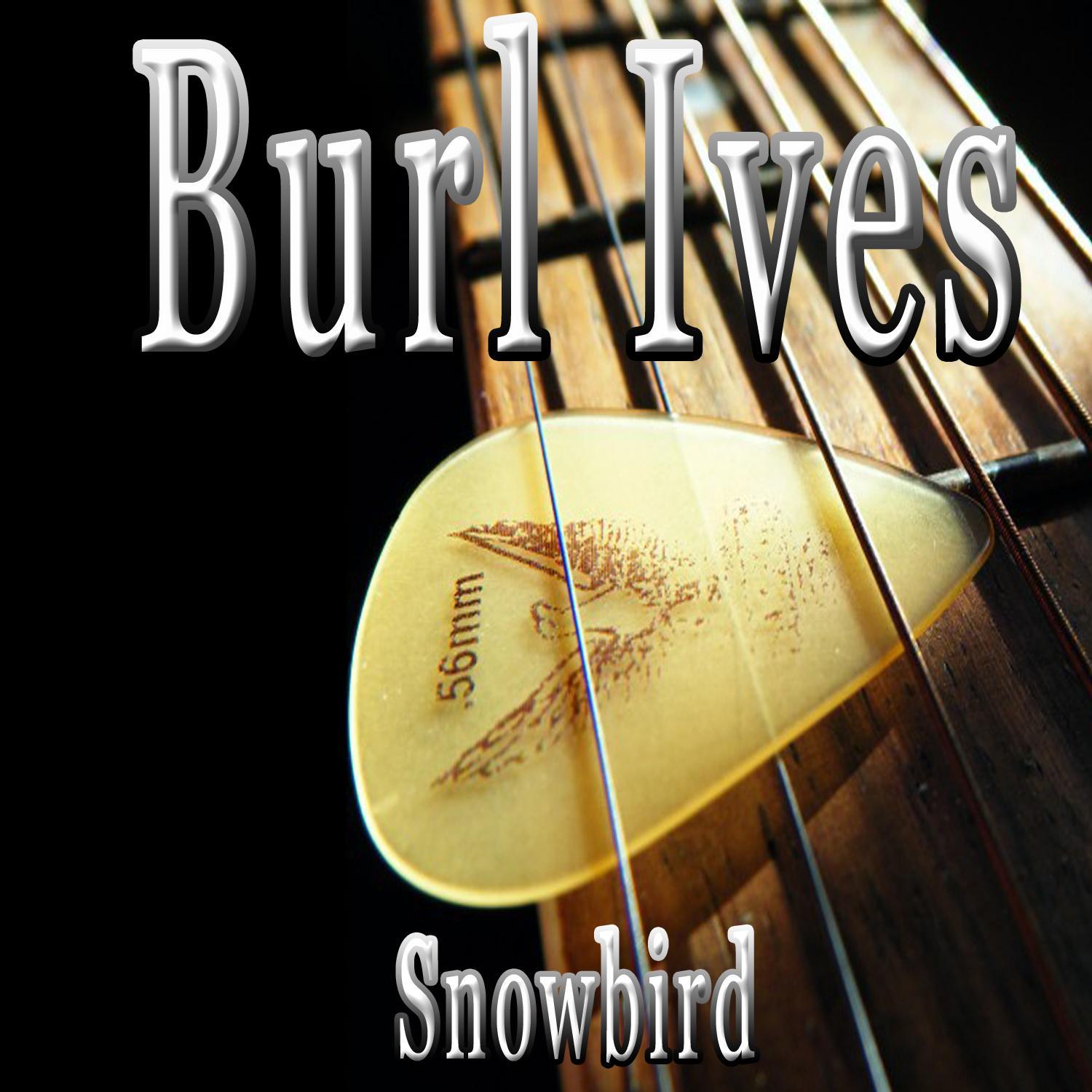 Snow Bird