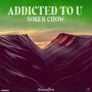 Addicted to U (Extended Mix)