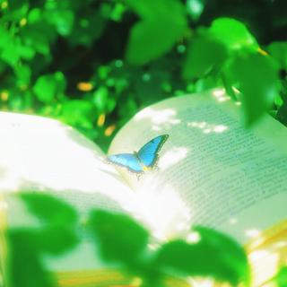 夏 梦 美 学 | 坠入氤氲与绿意的梦境