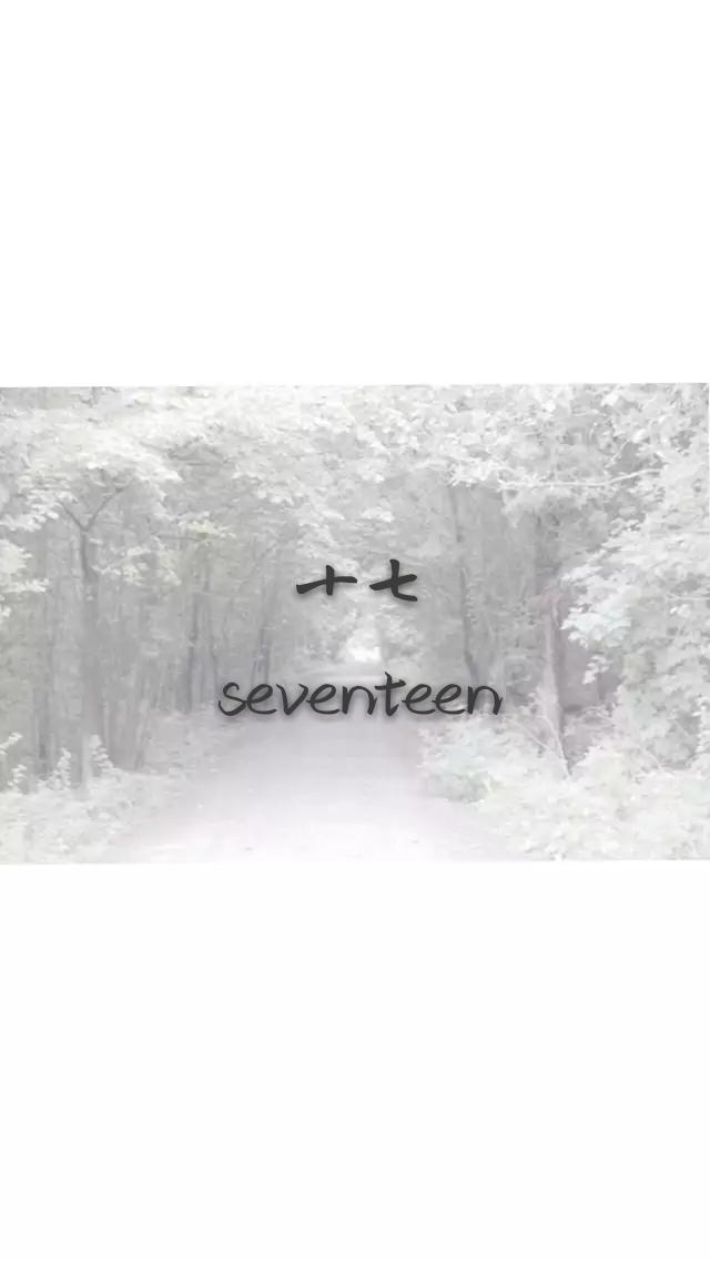 Seventeen专辑