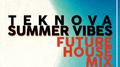 Summer Vibes (Future House Mix)专辑