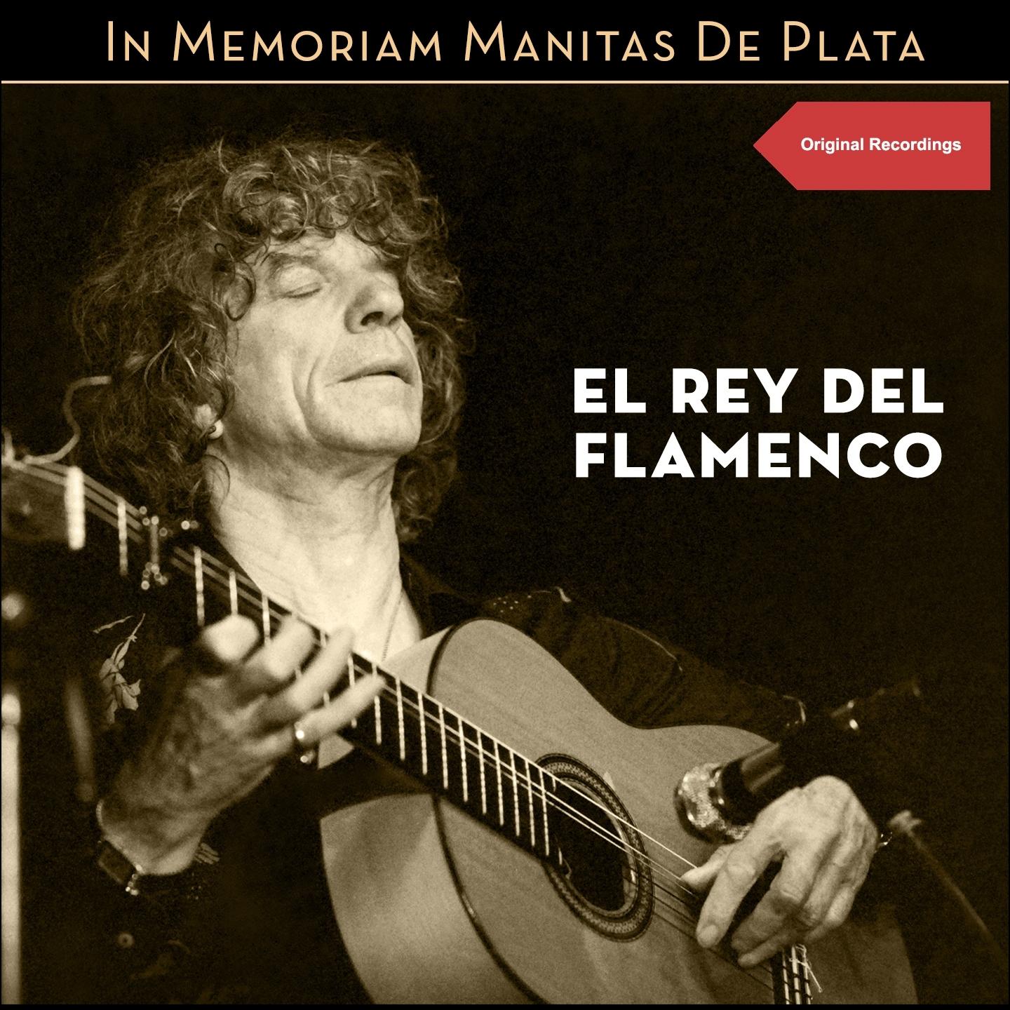 El Rey del Flamenco