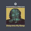 Harold Matthews Jr - Deep Into My Sleep (Black Sonix Dubstrumental)