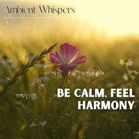 Be Calm, Feel Harmony