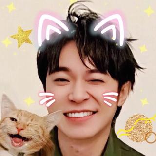 鱼丁糸收藏无与伦比的美丽