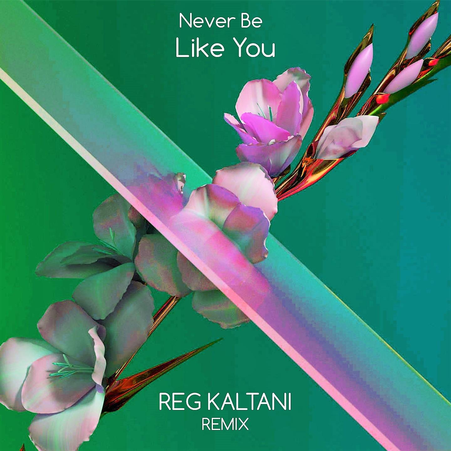 Never Be Like You (Remix)