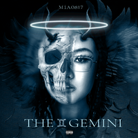 THE GEMINI