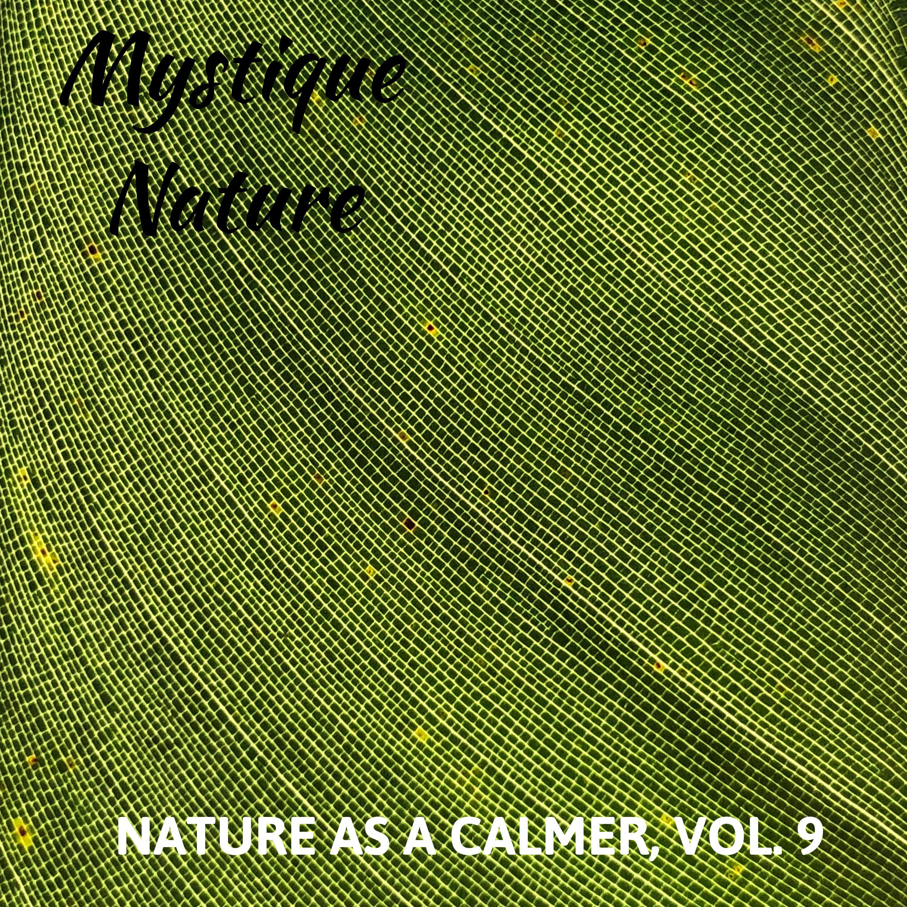 Sunshine Nature Calm Music - Calming Water Ripples