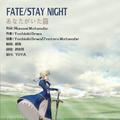 FATE / STAY NIGHT ED