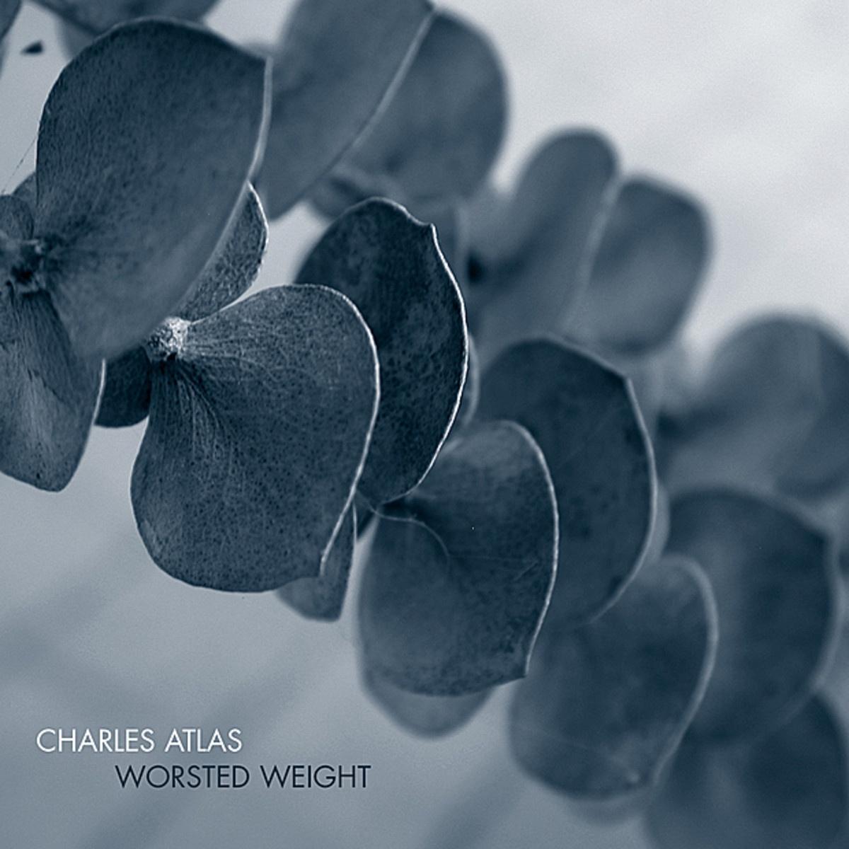 Worsted Weight