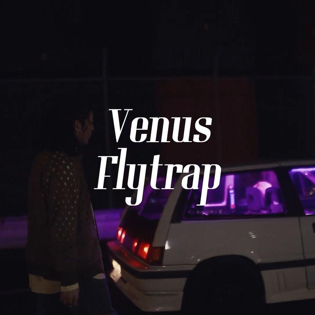 Venus Flytrap