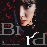 金南珠(Apink) - Bird 原版伴奏