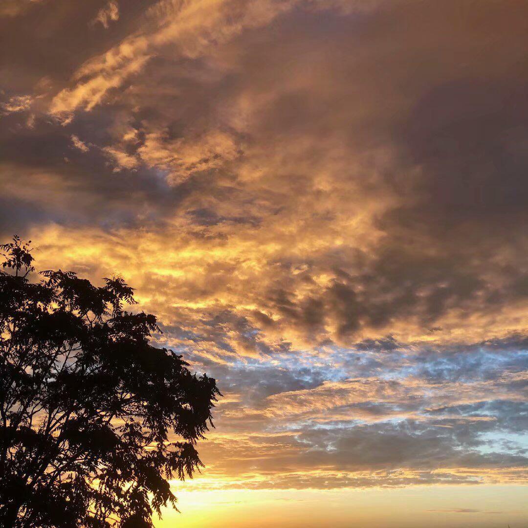 春夏秋冬失去了你（翻自 王宇良）