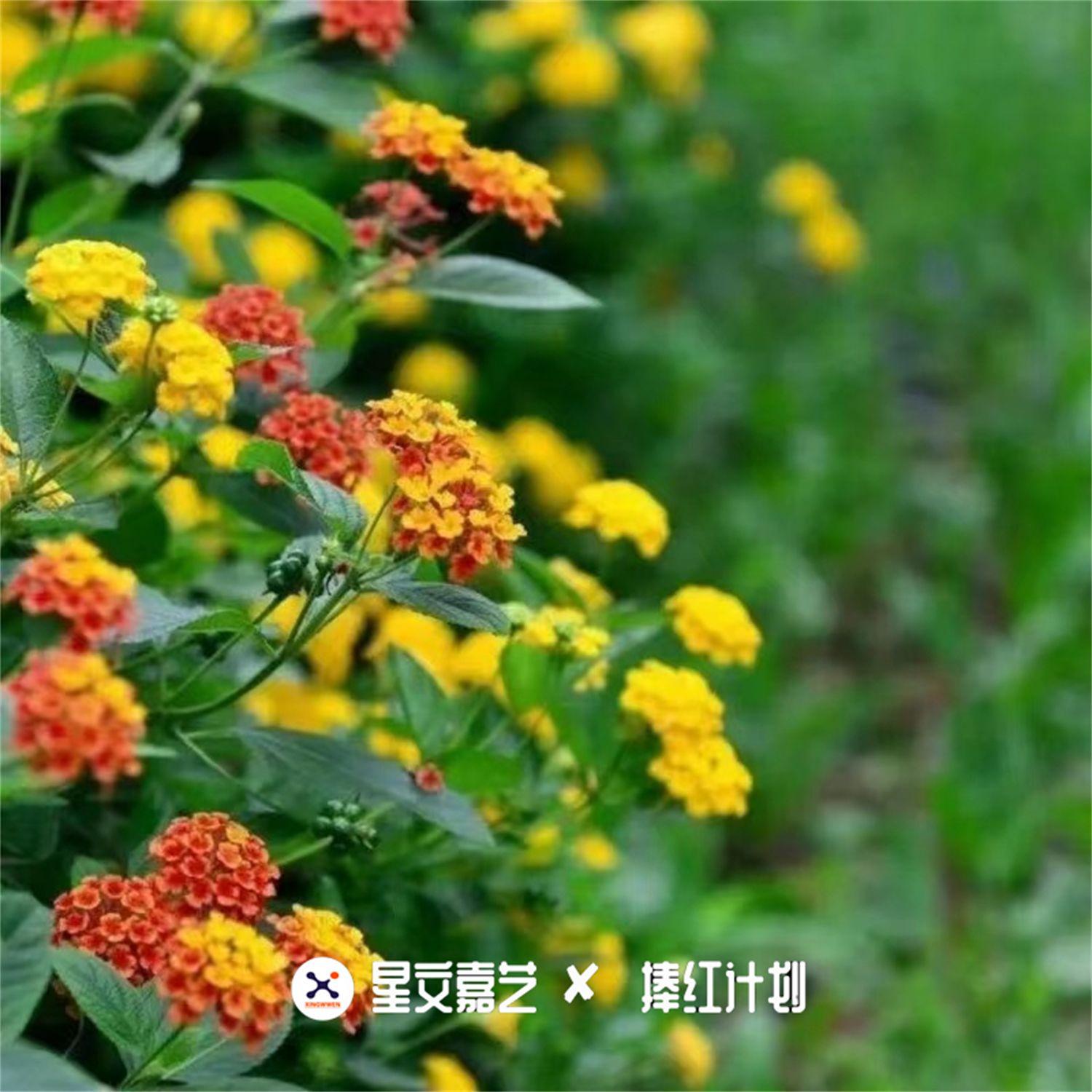 一更里点灯