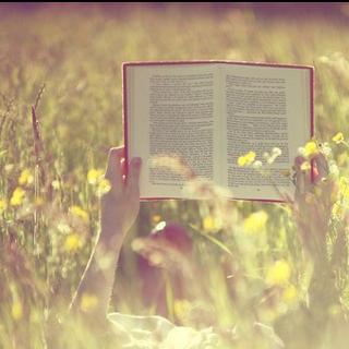 英语单词四级【洗脑专用歌单】