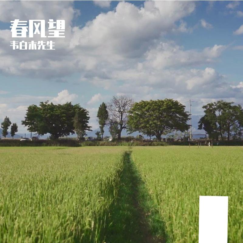 春风望 - 韦白木先生 - 单曲 - 网易云音乐