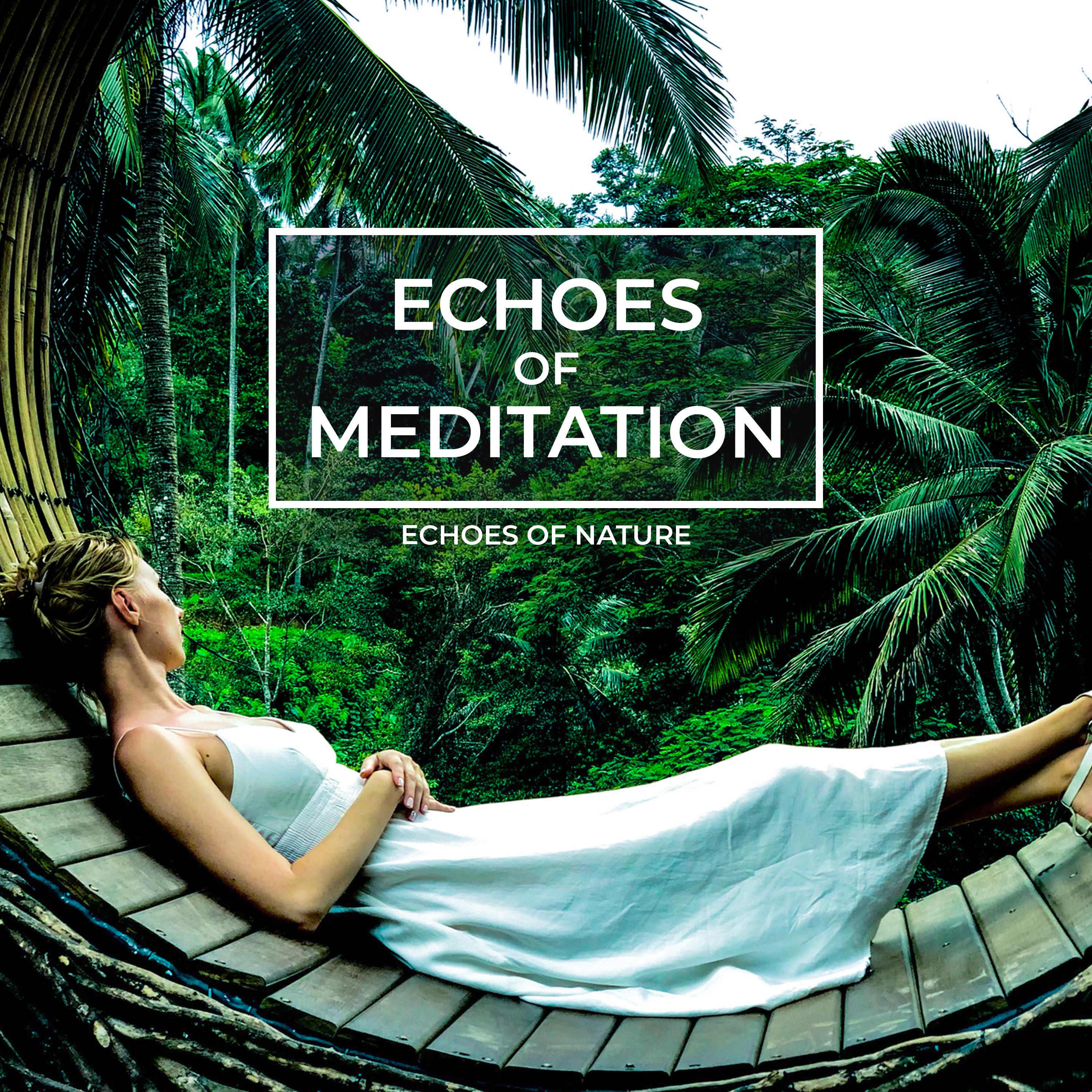 Echoes of Meditation