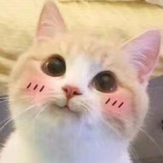 学习时听电子纯音！心情会超级棒ʕ •ᴥ•ʔ