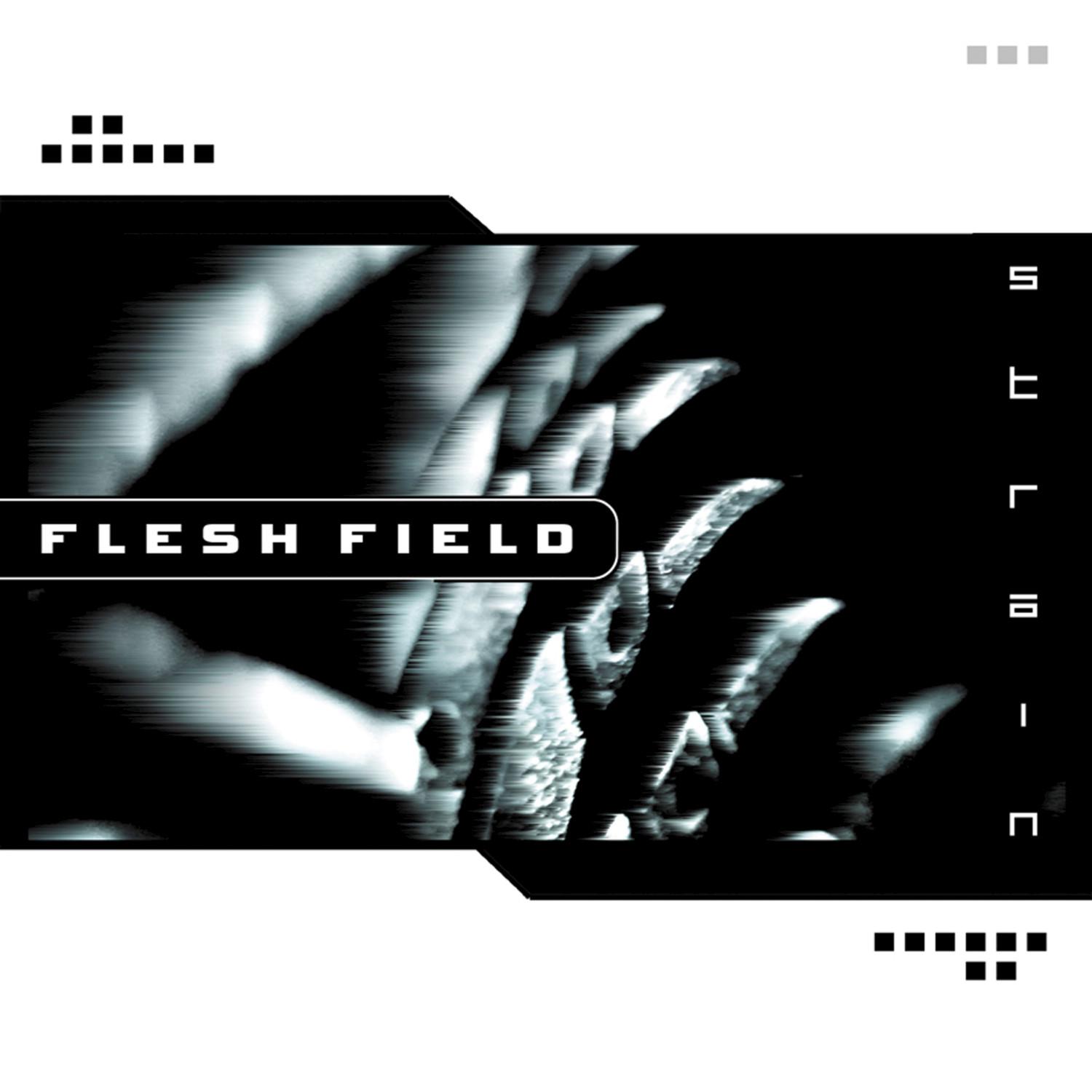 Flesh Field - Reflect The Enemy