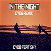 Cvdb - In the Night