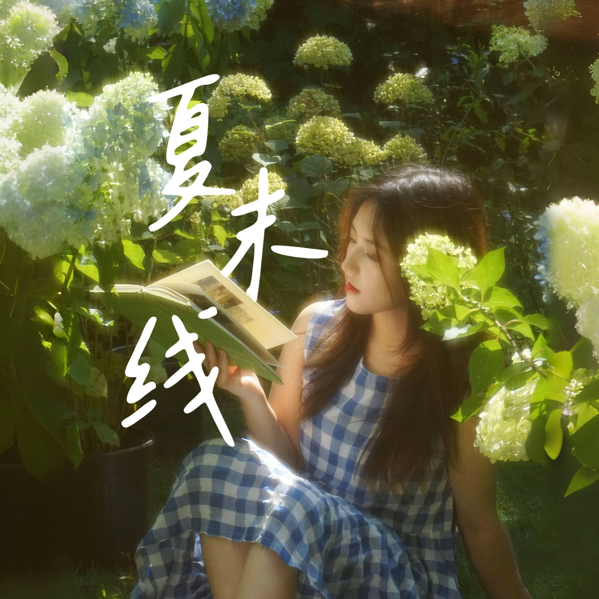 夏末线