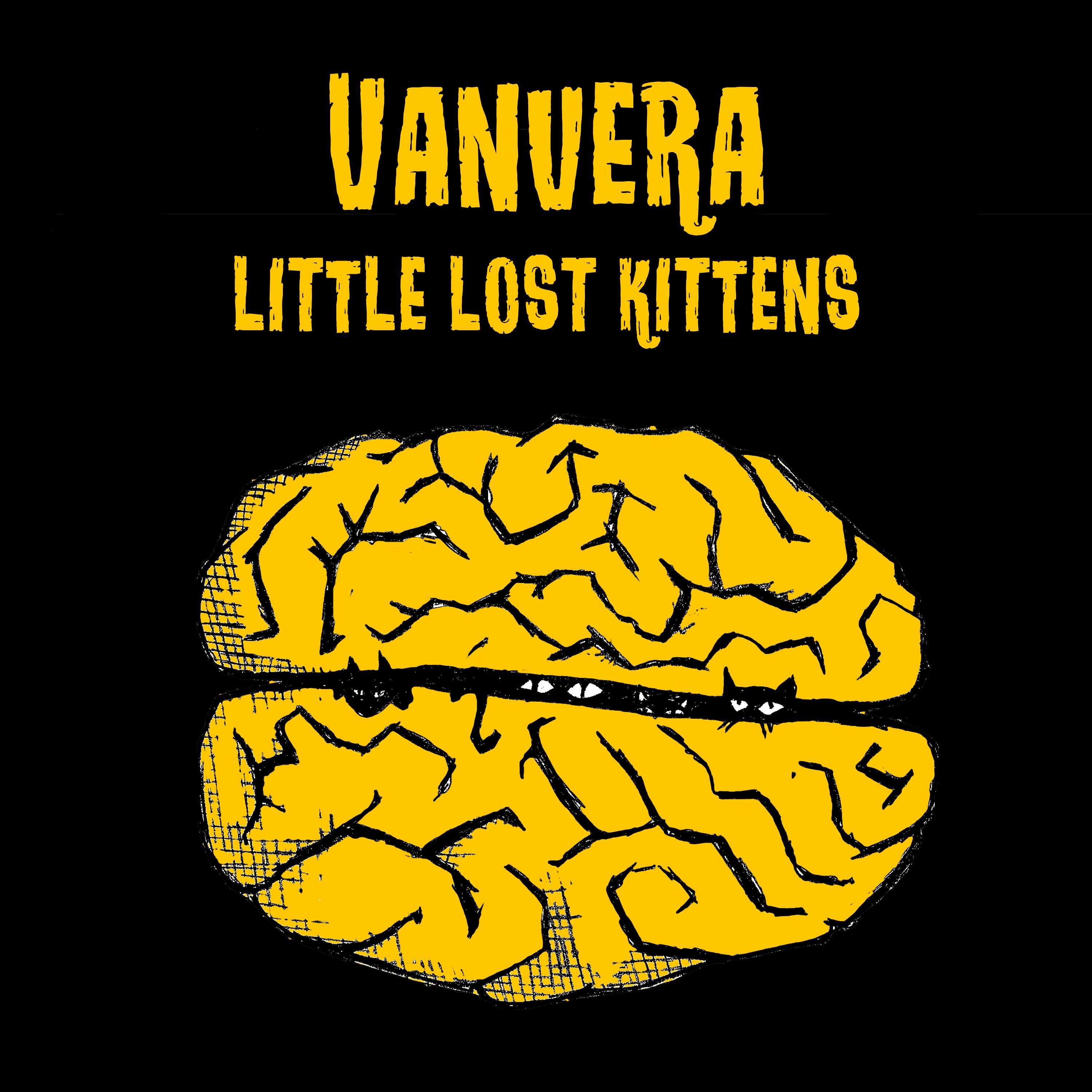 Little Lost Kittens